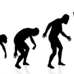 evolution danse